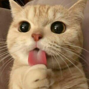 Meet your Posher, Erick